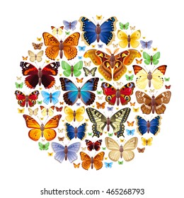 Vector illustration of insects icons set. Abstract modern concept with natural symbols - atlas moth, peacock, admiral, skipper, mourning cloak, swallowtail butterflies. Template animal collection
