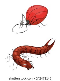 Vector illustration of a insects set on white