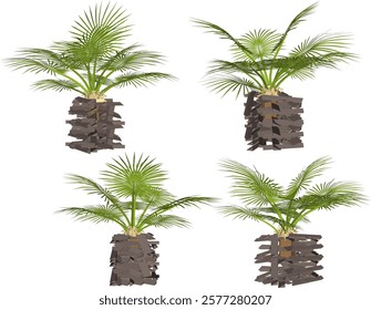 vector illustration of interior decoration design of living room beautiful palm plants in pots