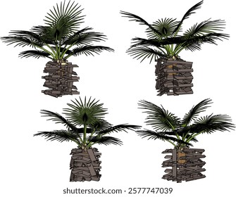 vector illustration of interior decoration design of living room beautiful palm plants in pots