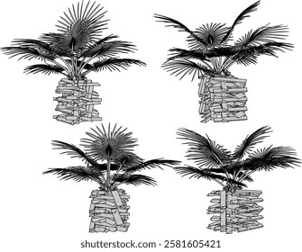 vector illustration of interior decoration design of living room beautiful palm plants in pots