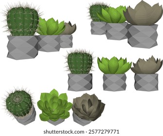 vector illustration of interior design of cactus flower with modern minimalist vase