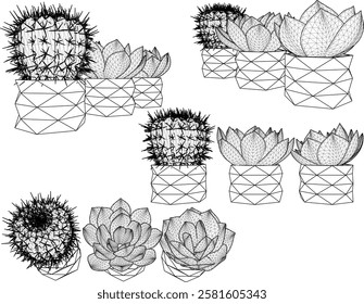 vector illustration of interior design of cactus flower with modern minimalist vase 