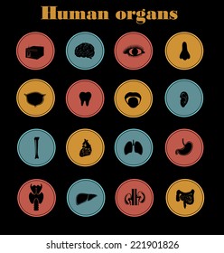 Vector illustration of internal human organs