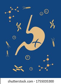 Vector illustration of internal organs, sick injured stomach, disturbed microflora. Schematic representation of the internal organs of the peritoneum, cells, bacteria, microorganisms, prebiotics 