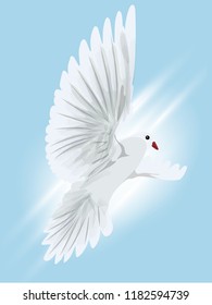 vector illustration International Day of Peace.