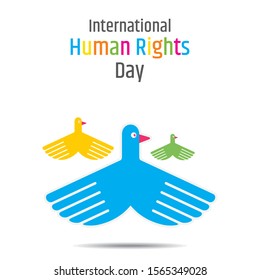 Vector illustration of International Human Rights Day, colorful hand make bird flying shape background