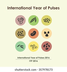 vector illustration / international year of pulses