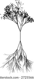 Ilustración vectorial de un intrincado sistema de raíces ramificadas conectadas a las copas de los árboles con la fruta.