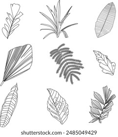 Vector illustration of intricate leaf vein pattern, showcasing delicate network of veins in botanical design. Detailed and stylized green foliage, ideal for botanical backgrounds, eco-themed designs, 