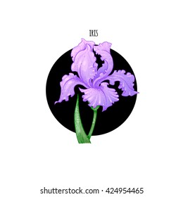Vector illustration iris flower in a black circle on a white background. Designed for packaging decoration, flower arranging, cosmetics, shampoos, health supplements.