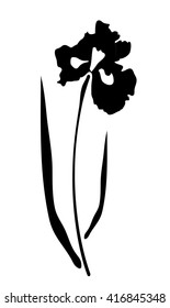 Vector Illustration Of An Iris Flower Vector Silhouette