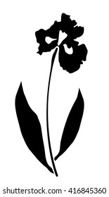 vector illustration of an iris flower vector silhouette