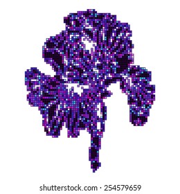 Vector illustration iris mosaic