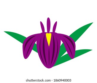 Vector illustration of irises. Tango no Sekku. Children's Day