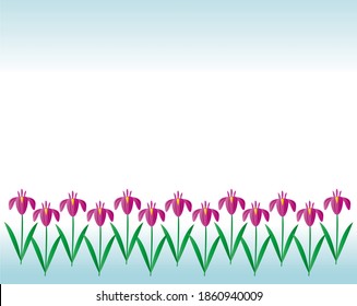 Vector illustration of irises. Tango no Sekku. Children's Day