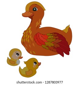vector illustration, isolate on a white background, cartoon style duck in color