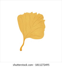 Vector illustration of an isolated autumn alder tree leaf with different textures, shadows and other details. Autumn bright art.