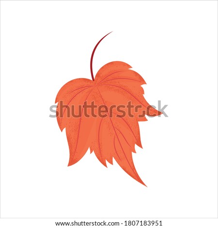 Vector illustration of an isolated autumn leaf sycamore tree with different textures, shadows and other details. Autumn bright art.