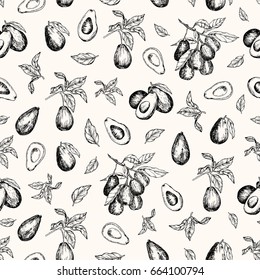 Vector illustration. Isolated avocado fruit , avocado leaves and branches. Vector seamless pattern.