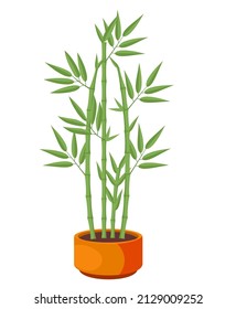 Vector Illustration of isolated bamboo in pot on white background. For flower shop banner, poster. Elements for design house, room or office interior. Bamboo lucky plant in pot, Chinese tree sprouts