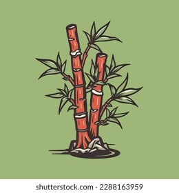 Vector Illustration of isolated bamboo in pot on white background. For flower shop banner, poster. Elements for design house, room or office interior. Bamboo lucky plant in pot