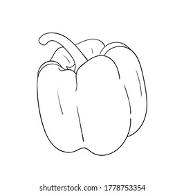 Vector illustration, isolated bell pepper in black and white colors, outline original hand painted drawing