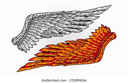 Vector illustration of isolated Bird wings