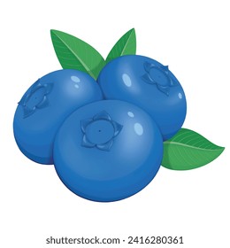 Vector illustration of isolated blueberry