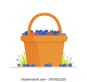 Vector illustration of an isolated blueberry basket. Wicker basket with blueberries realistic vector illustration isolated on white.