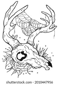 Vector illustration isolated buffalo skull and  ornamental grasses on a white background. Designed for printing on T-shirts. Black and white.