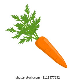 Vector illustration. Isolated carrots with leaves on white background.