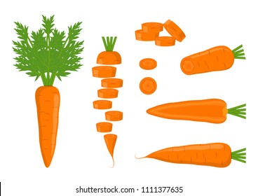 Vector illustration. Isolated carrots with leaves and slices carrots on a white background.