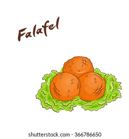 vector illustration of isolated cartoon hand drawn fast food. falafel.