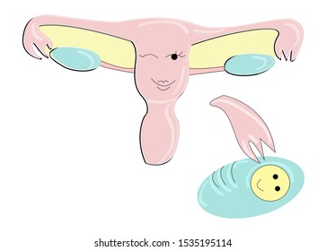 Vector illustration isolated cartoon uterus and separately enlarged ovary in the form of baby in diapers with part of the fallopian tube. Can be used in working with medical concept.