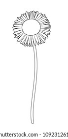 Vector illustration, isolated chamomile flower in black and white colors, outline hand painted drawing