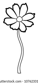 Vector illustration, isolated cosmos flower in black and white colors