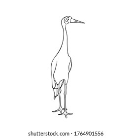 Vector illustration, isolated crane bird in black and white colors, outline original hand painted drawing