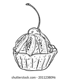 Vector illustration, isolated cupcake basket with cream, kiwi and confectionery cherries in black and white colors, original outline hand painted drawing