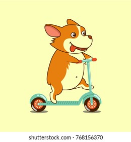 Vector illustration, isolated cute dog on kick scooter