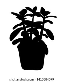 Vector illustration, isolated decorative Crassula plant in a pot silhouette