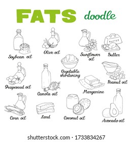 Vector illustration isolated elements with different sorts of fat