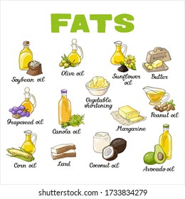 Vector illustration isolated elements with different sorts of fat