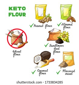 Vector illustration isolated elements with flour 