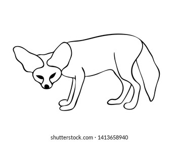 Vector illustration, isolated fennec fox in black and white colors, outline hand painted drawing