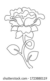 Vector illustration of an isolated flower on the white background. Drawing in the one continuous line style.