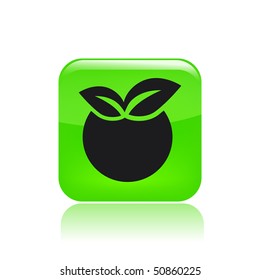 Vector illustration of isolated fruit icon
