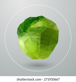 Vector illustration of isolated geometric cabbage composed of triangles