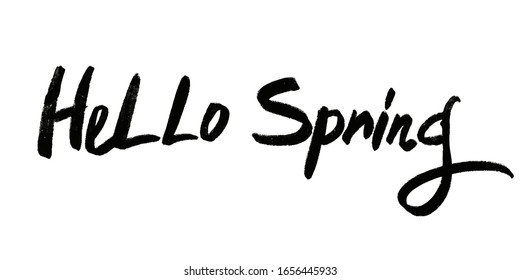 Vector illustration with isolated hand drawn phrase on white background. Hello spring.