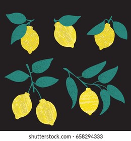 a vector illustration of an isolated hand drawn lemon fruit with leaves; made in modern style with textured surface; an artistic style; fruit cartoon clip art